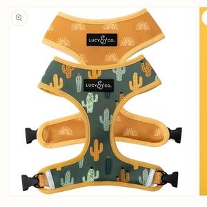 LUCY & CO reversible dog harness - looking sharp